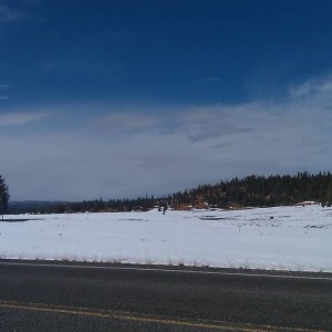 IMAG03871