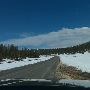 IMAG0389