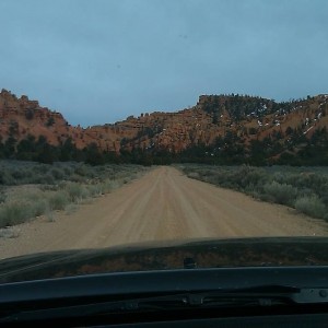 IMAG0390