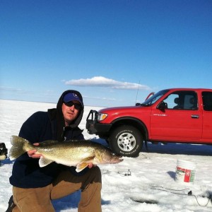 Walleye