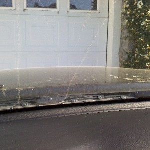 can anyone say allergies?