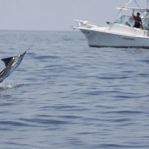 JP Sportfishing - Quepos Costa Rica 3/26/11