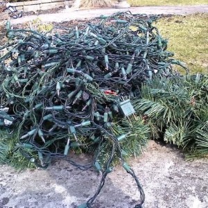 Took down the xmas lights