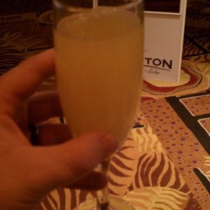 Brunch free booze!