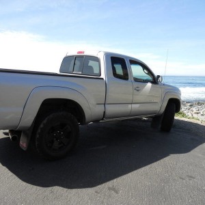 Beach bum