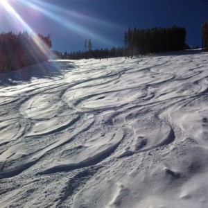 Day 102 on skis and it's a special April day. 11" of new