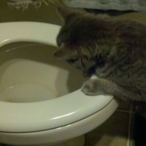 What a strange being