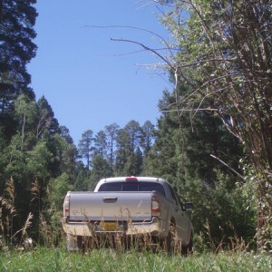 P9050036