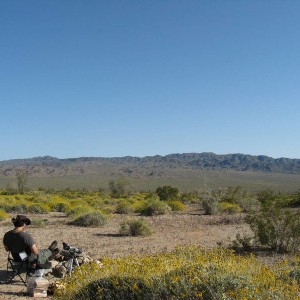 Straight up desert camping w/ no utilities - CA
