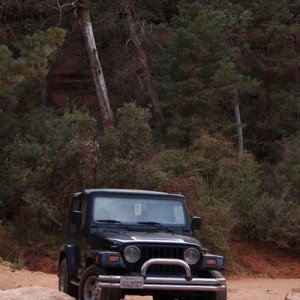 '99 Wrangler Sahara - had her for 11 years