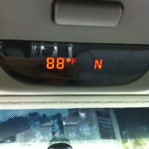 Perfect spring afternoon in south Louisiana.
