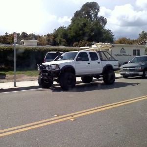 Sas spotted in goleta