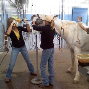 Hung out with my Cowgirl today..took her horse in to have his teeth worked 