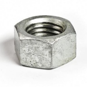 nut_2