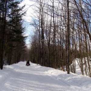 Trail 1