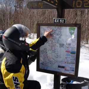 Polar Bear Signage