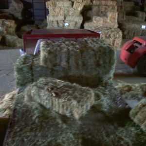 at work loading up 60 bales