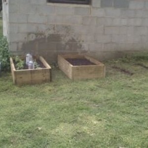 Got my lil garden underway....potato,tomatos,squash,cucumber,and sweet corn