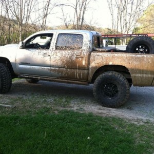 They do fine in the mud
