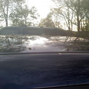 Thanks to crapy cell pic. you cant really see the dings.