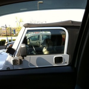 Jeep people are weird!