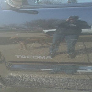 installed Sock Monkey Decals