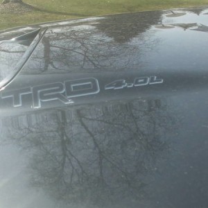 installed Sock Monkey Decals