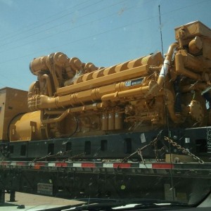 Taco needs more power... transplant in the future?? :-)