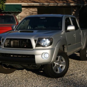 My Taco