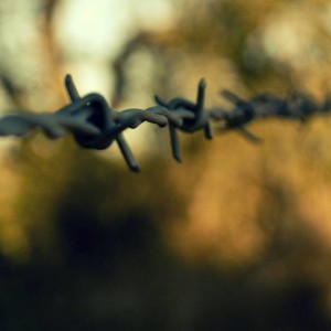 barbwire_hip