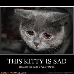 demotivational-posters-this-kitty-is-sad