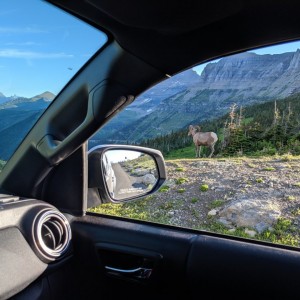 Bighornloganpass