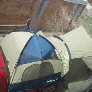 Picture_0317
