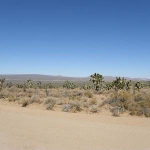 Mojave