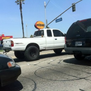Spotted whatthepho