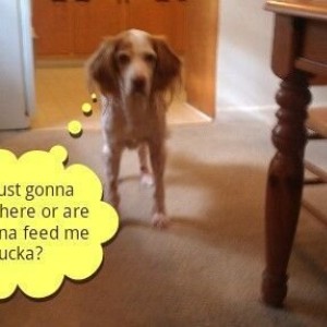Created with PicSay on my PC36100