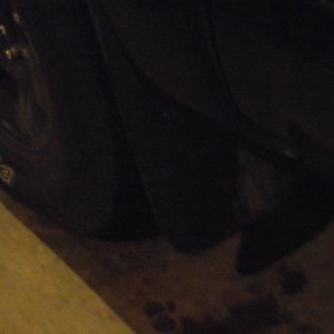 DSCF1586