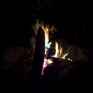 Moab camp currently