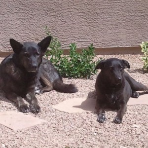 Soaking up some sun!
