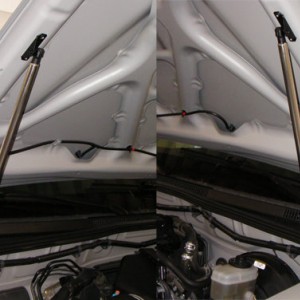 Hood_struts