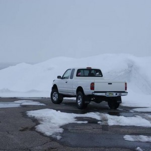 ynp_toy_11