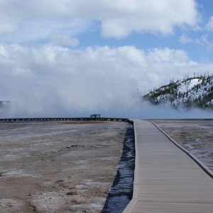 ynp_spring_3