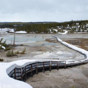 ynp_spring_1