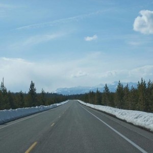 ynp_spring_2