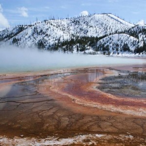 ynp_spring_4