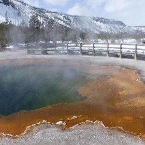 ynp_spring_6