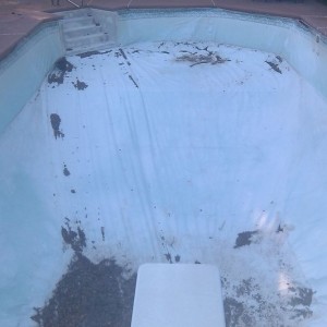 Girlfriends pool is empty and ready for a new liner
