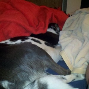 Haha passed out. Head under the covers