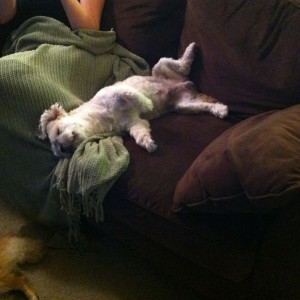 This guy is so damn lazy