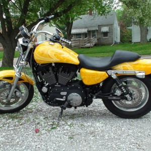 06 sportster 1